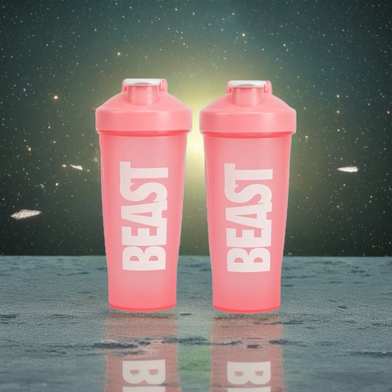 Gym Shaker Bottles (2 pack)