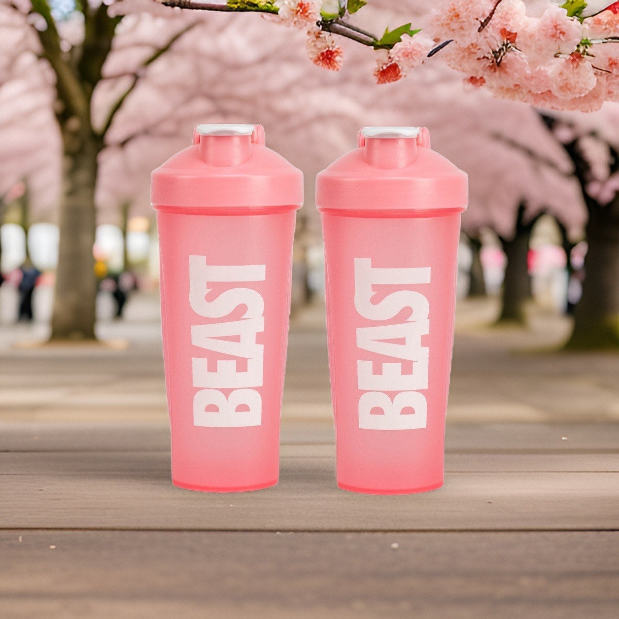 Gym Shaker Bottles (2 pack)