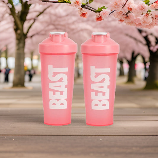 Gym Shaker Bottles (2 pack)